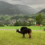 Panoramaalm - In - Out *