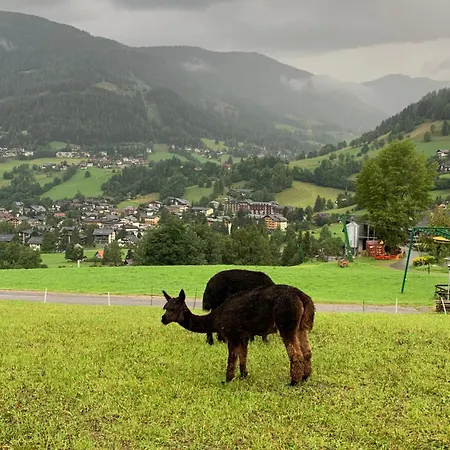 Panoramaalm - In - Out *