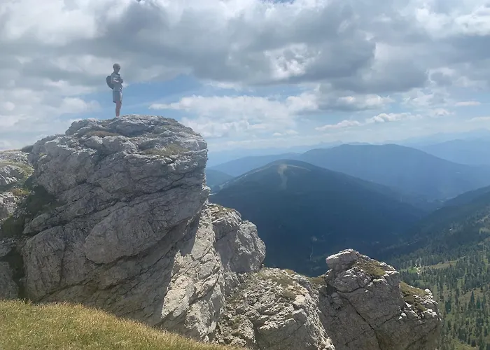 Apartment Panoramaalm - In - Out