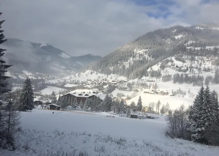 Panoramaalm - In - Out Apartment